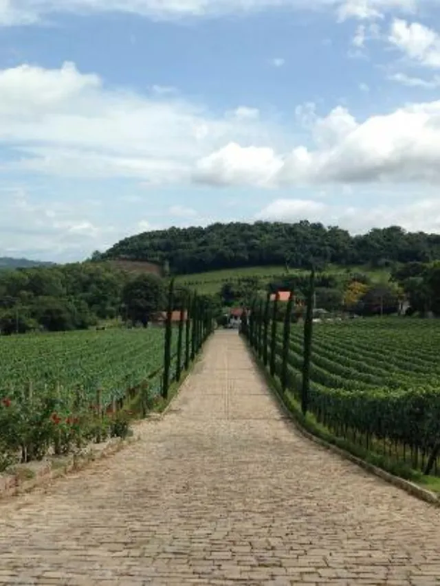 Vale Dos Vinhedos - Descubra o Encanto da Serra Gaúcha