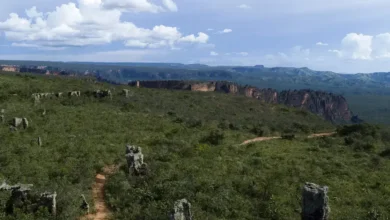 Chapada dos Guimarães