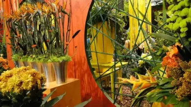 expoflora Holambra