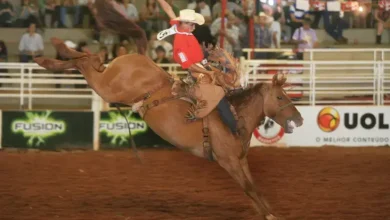 festa do peão de Barretos