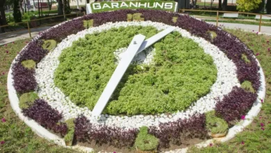 festival de inverno em Garanhuns