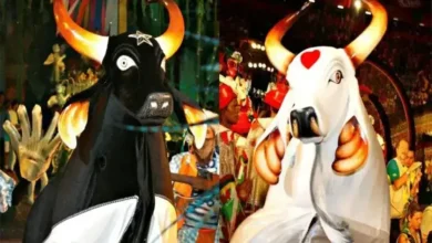 Festival Folclórico em Parintins