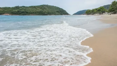 Litoral de são paulo
