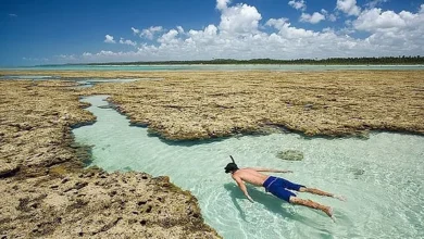 Roteiro paradisíaco em Alagoas