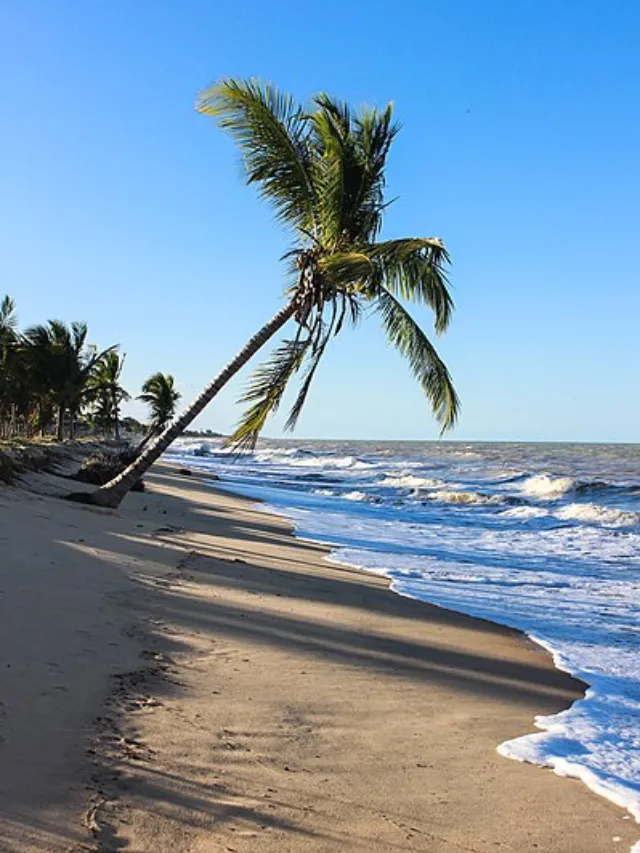Abrolhos Bahia - O que Fazer em 3 dias