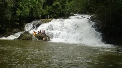 cachoeiras de Cananéia