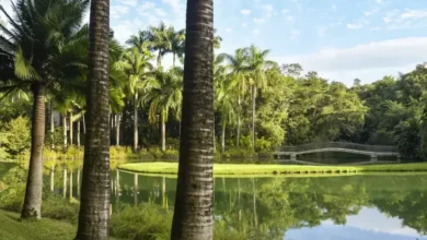 inhotim minas gerais