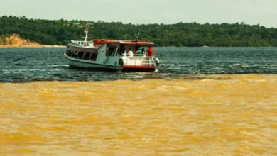 O que Fazer em Manaus