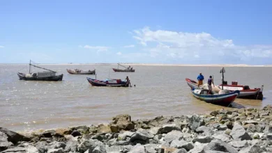 praia da raposa são paulo