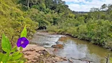 roteiro 3 dias em ouro preto